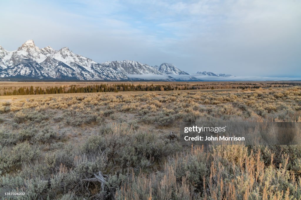Am frühen Morgen Tetons Berge aus der östlichen Prärie