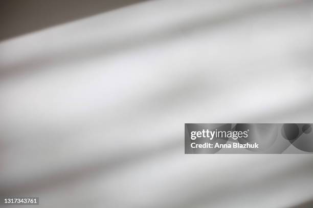trendy photography effect of plant shadow over white background for overlay - wall fotografías e imágenes de stock