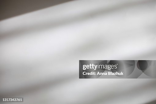 Trendy photography effect of plant shadow over white background for overlay Trendy photography effect of plant shadow over white background for overlay