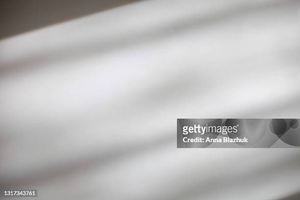trendy photography effect of plant shadow over white background for overlay - reflection photos et images de collection