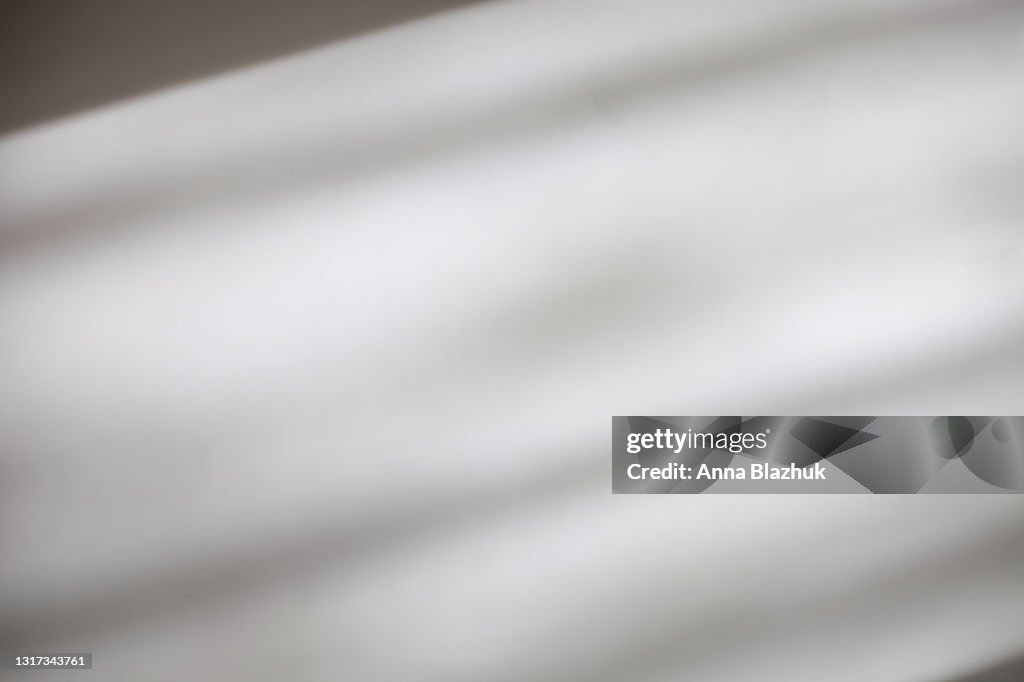 Trendy photography effect of plant shadow over white background for overlay