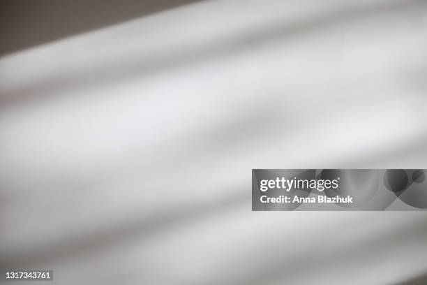 trendy photography effect of plant shadow over white background for overlay - shadow stockfoto's en -beelden