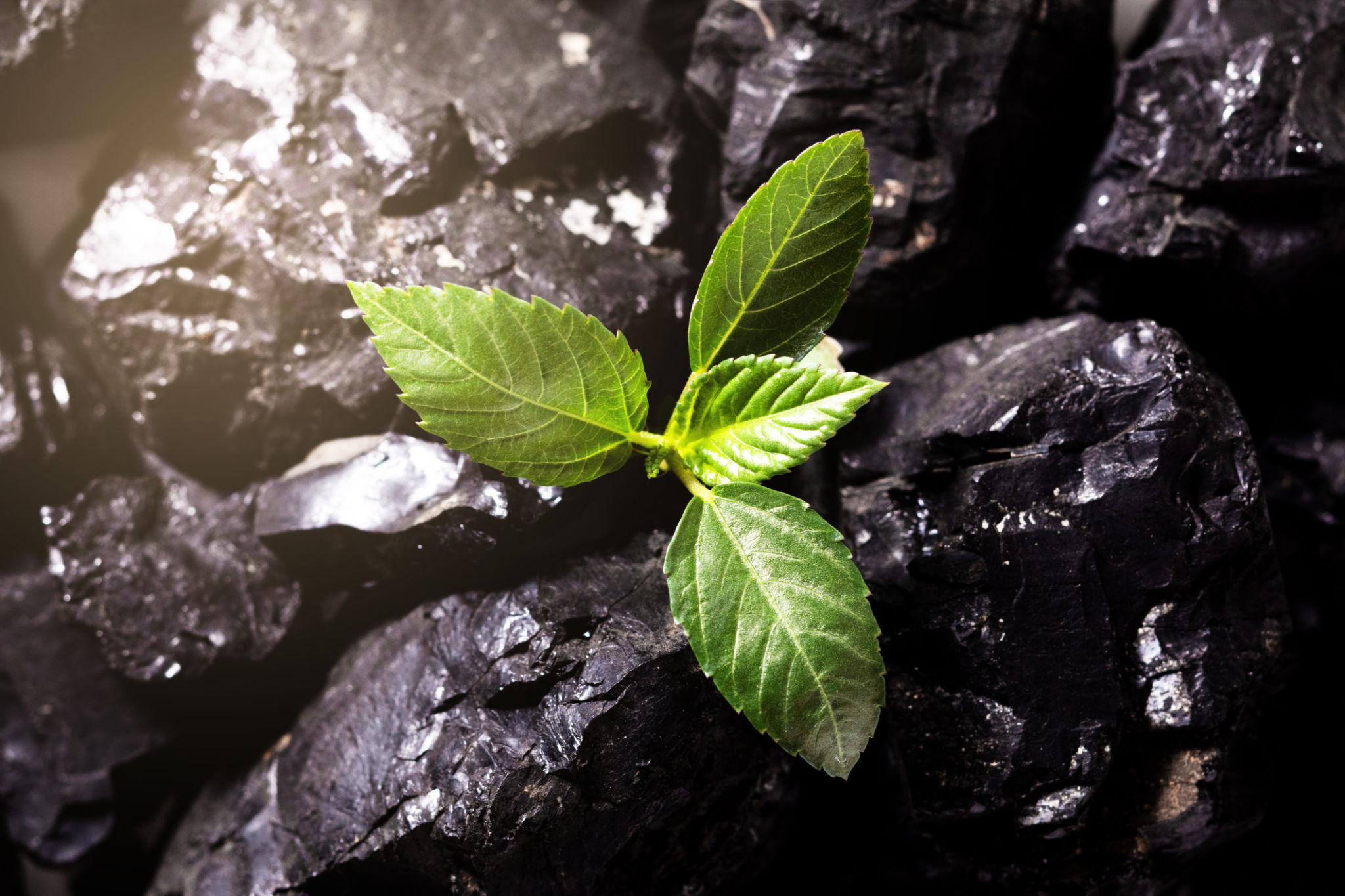 sustainable stone materials