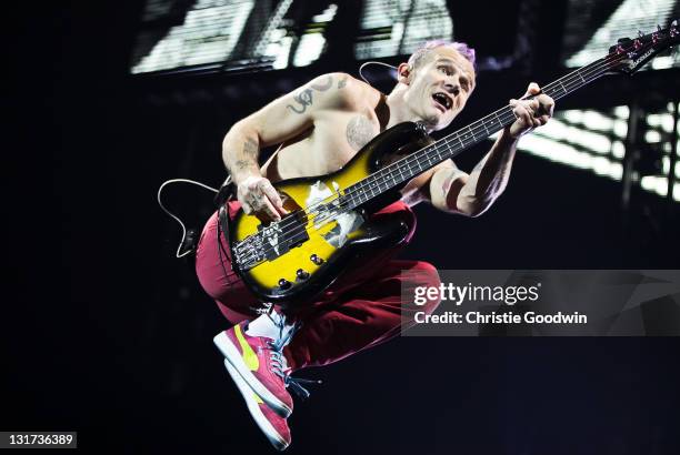 Flea of the Red Hot Chili Peppers performs on stage at O2 Arena on November 7, 2011 in London, United Kingdom.