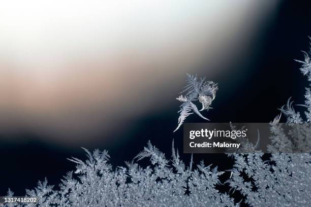 close-up of ice crystals on a frosted window. frost flower - verre dépoli photos et images de collection