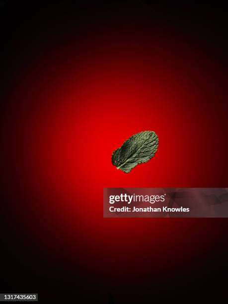 Mints Falling 164 Mints Falling Stock Photos, High-Res Pictures, and Images - Getty ...