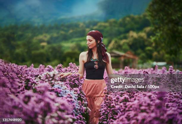 young woman standing amidst purple flowers,chiang mai,thailand - gipsy stock pictures, royalty-free photos & images