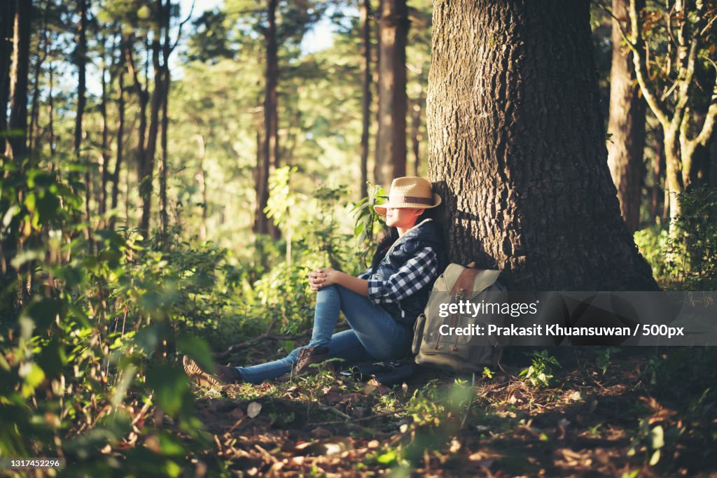 Woman sitting on tree trunk in forest