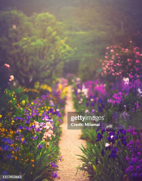 photograph of claude monet's colorful flowers and path in his garden. giverny, france. - giverny stock pictures, royalty-free photos & images