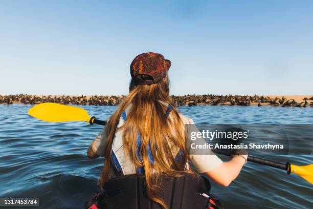 giovane donna in kayak sull'isola con foche durante la giornata di sole in namibia, africa - walvis bay foto e immagini stock