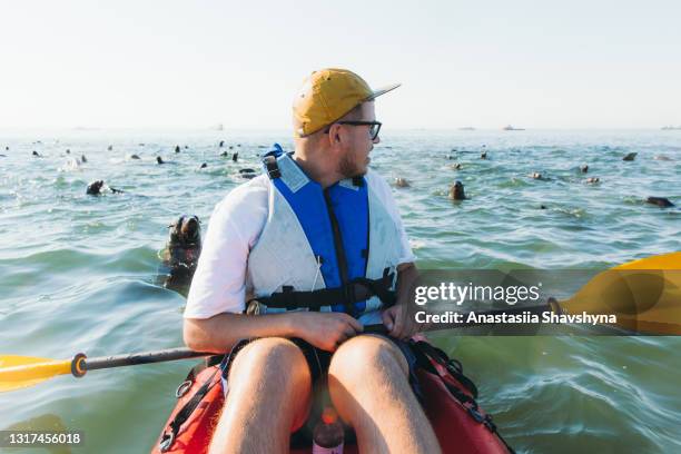 giovane in kayak con un gruppo di foche da nuoto durante la giornata di sole in namibia, africa - walvis bay foto e immagini stock