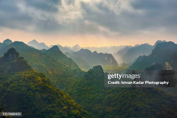 karst mountains on cat ba island, halong bay, vietnam - tropical rainforest bildbanksfoton och bilder