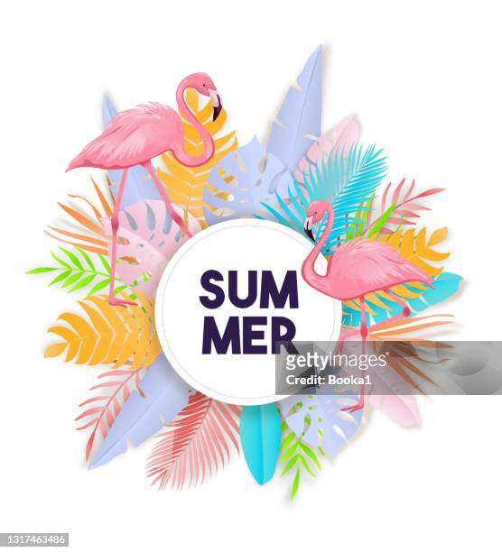 ilustraciones, imágenes clip art, dibujos animados e iconos de stock de banner de diseño de verano tropical - flamingos