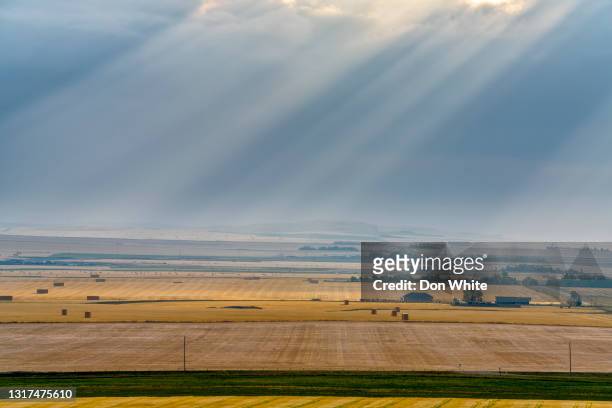 alberta canada countryside - alberta farm scene stock pictures, royalty-free photos & images