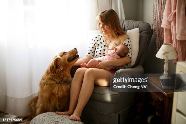 junge mutter reitt ihr baby auf dem stuhl mit einem hund - baby hund innenaufnahme stock-fotos und bilder