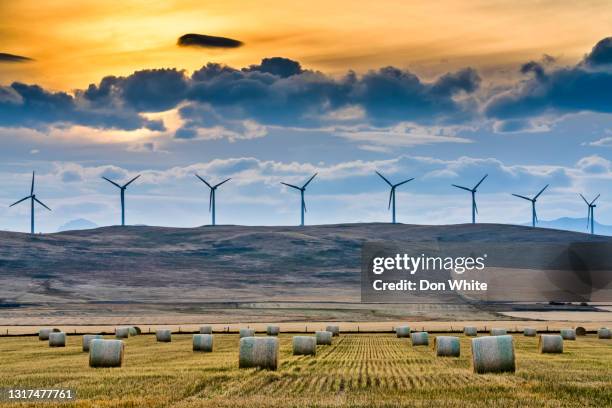 campo de alberta canadá - tecnología verde fotografías e imágenes de stock