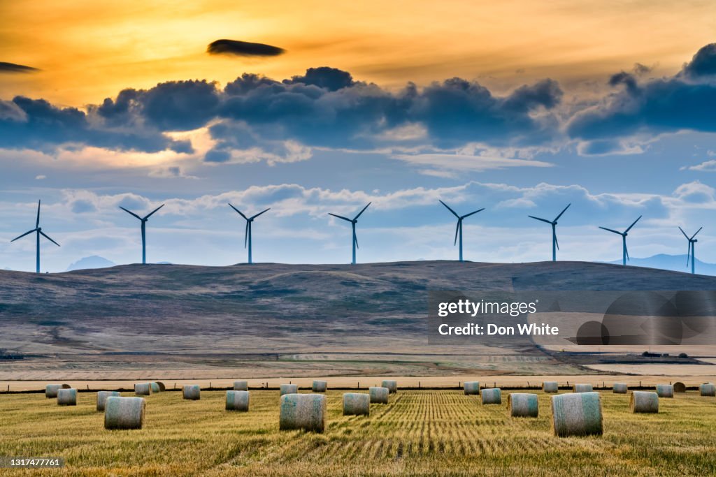 Campagna dell'Alberta Canada