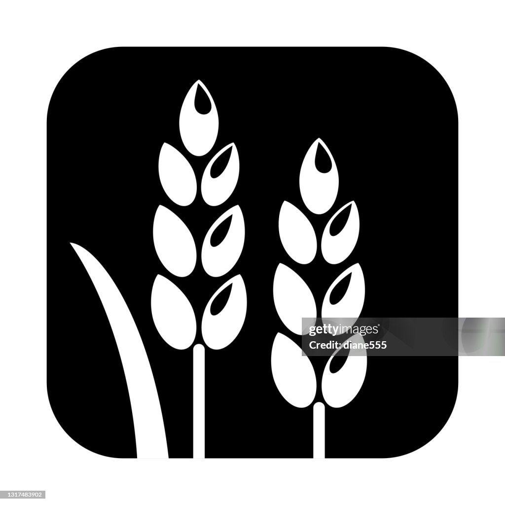 Simple Wheat Or Grain Icon