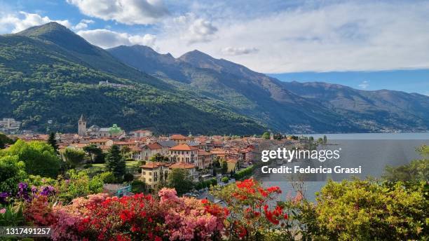 multi-colored azaleas flowering in cannobio, lake maggiore - lake maggiore stock pictures, royalty-free photos & images