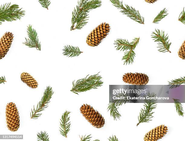 a seamless pattern of scattered christmas tree twigs and cones on a white isolated background. - pine cone stock pictures, royalty-free photos & images