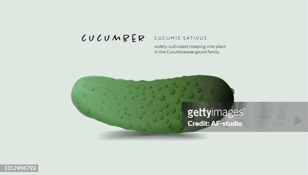 stockillustraties, clipart, cartoons en iconen met komkommer - komkommer