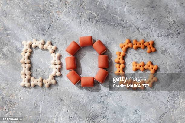 dog written from bone-shaped dog biscuits on gray concrete background - candy cane foto e immagini stock