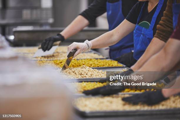 midsection of workers examining cashew nuts at factory - examining food stock pictures, royalty-free photos & images