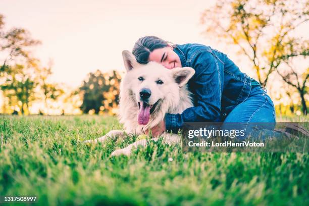 mijn beste vriend - dog breeds stockfoto's en -beelden