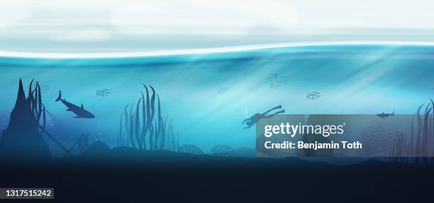 underwater ocean scene background of reefs with scuba diver - coral reef cartoon stock illustrations