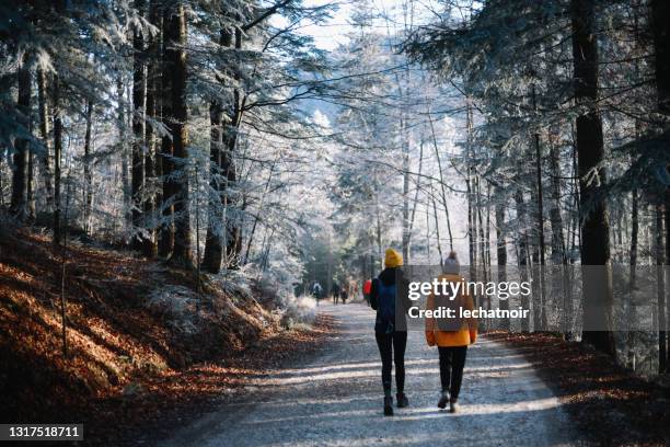 women hiking through the forest - autumn friends coats stock pictures, royalty-free photos & images