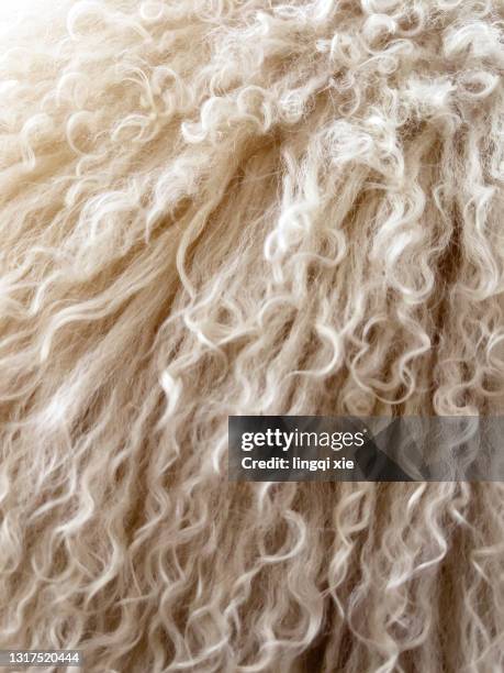 the long hair of the pillow - sheepskin stock pictures, royalty-free photos & images