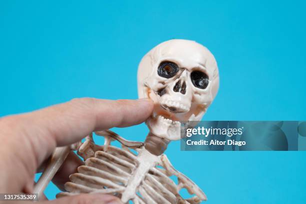 a person holds a skeleton (mannequin) in his hand and tries to move its jaw. - human jaw bone stockfoto's en -beelden