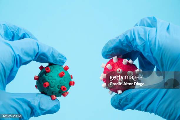 scientists with surgical gloves holds two different coronavirus of different color in the hand. creative image. - corona virus stock-fotos und bilder