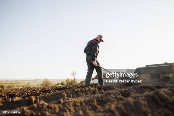 an adult farmer ends his work on the field at the end of the day - pension ukraine stock pictures, royalty-free photos & images