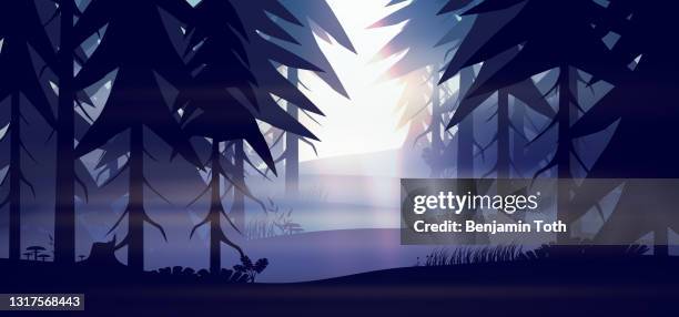 forest passage at night - spooky woods stock illustrations