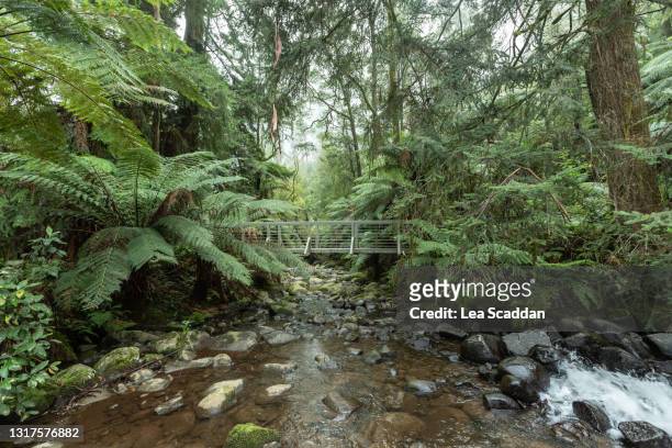 badger weir forest - melbourn science park stock pictures, royalty-free photos & images