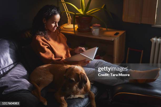 woman sitting on sofa reading - low key beleuchtung stock-fotos und bilder