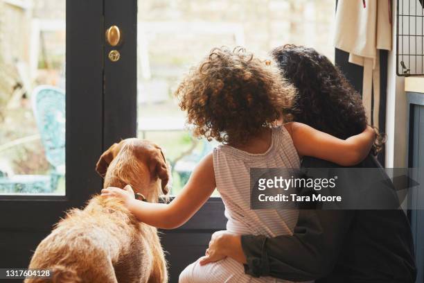 back view of mixed race mother and young daughter with dog looking out of kitchen window. - family dog stock-fotos und bilder