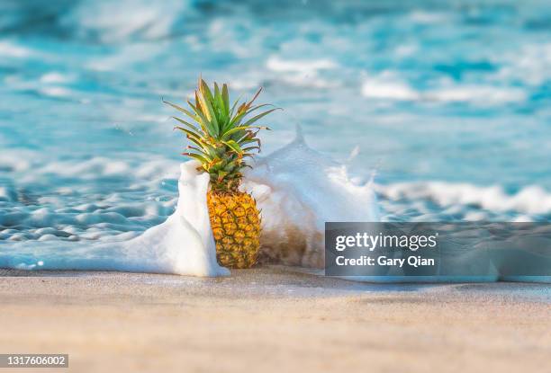 pineapple water blanket - maui water stock pictures, royalty-free photos & images