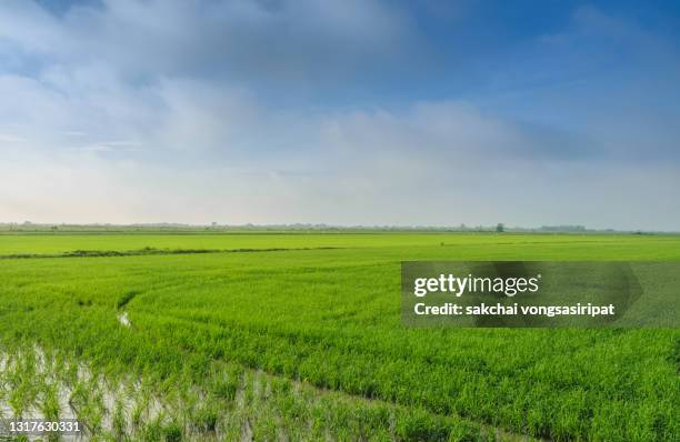 scenic view o farm against sky - cloud b stock pictures, royalty-free photos & images