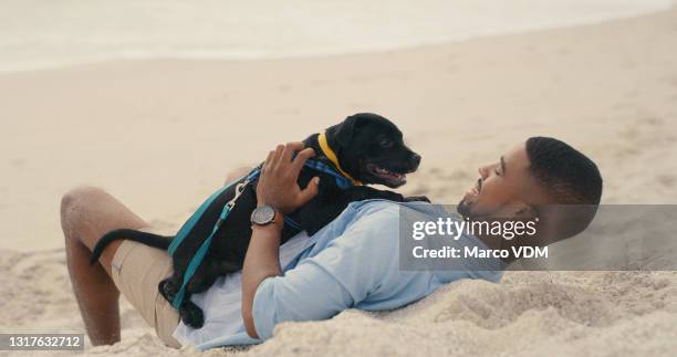 shot of a man spending the day at the beach with his dog - african pit bull stock pictures, royalty-free photos & images