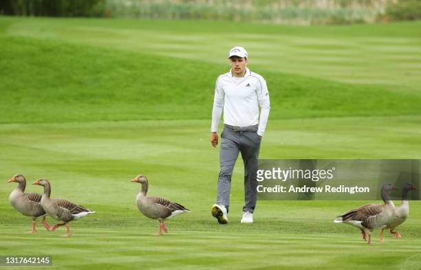 Matthew Jordan of England walks down the fifth fairway as geese are seen on the course during the First Round of The Betfred British Masters hosted...