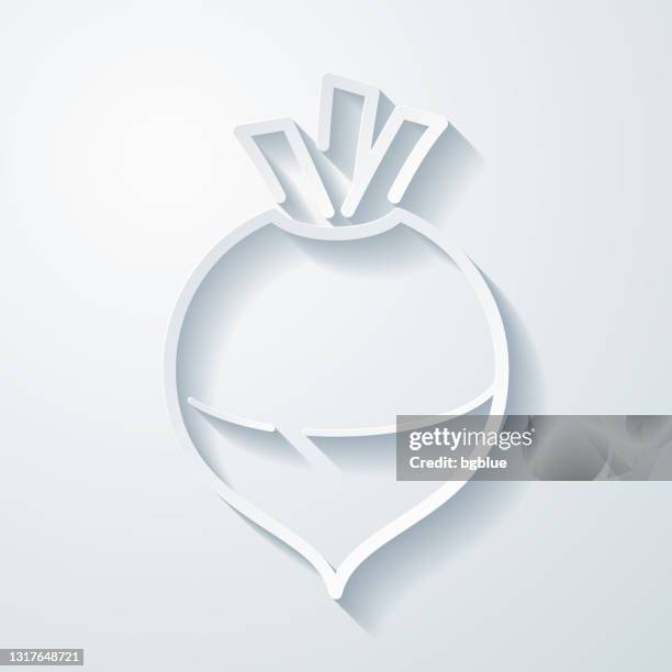 rutabaga. icon with paper cut effect on blank background - rutabaga stock illustrations