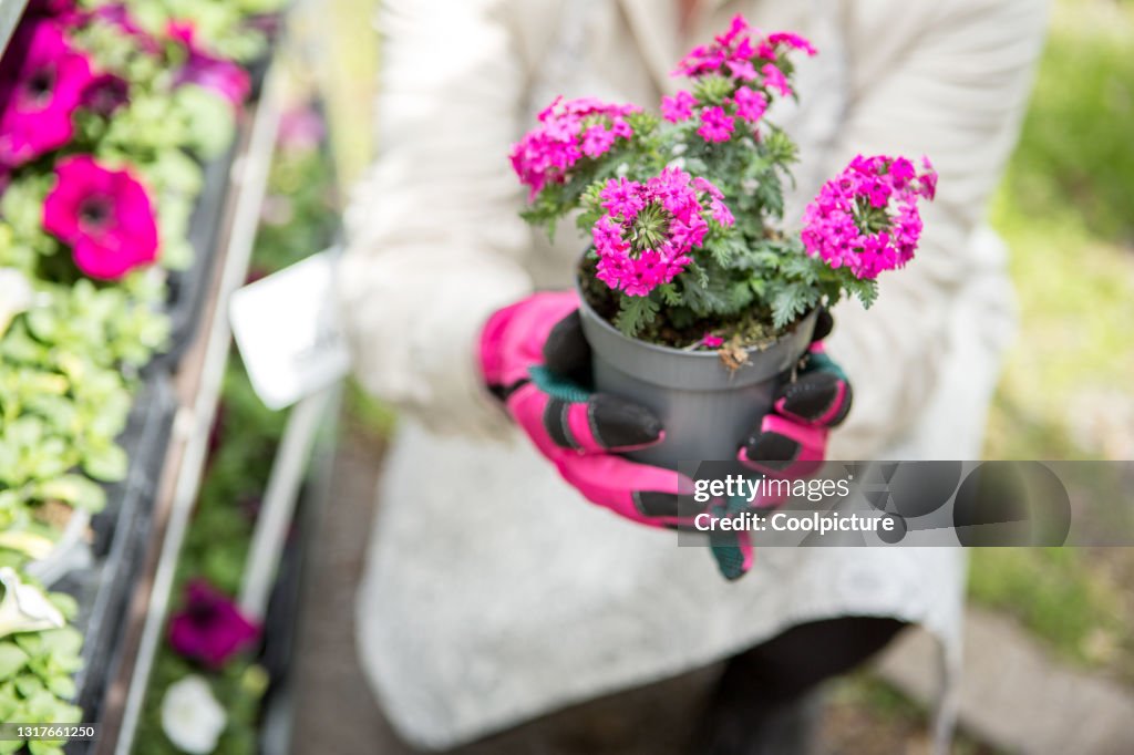 Gardening