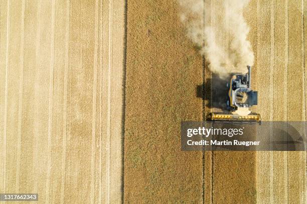 aerial view of combine harvester, harvesting grain field. bavaria, germany, europe. - landwirtschaftsgeräte ansicht von oben stock-fotos und bilder