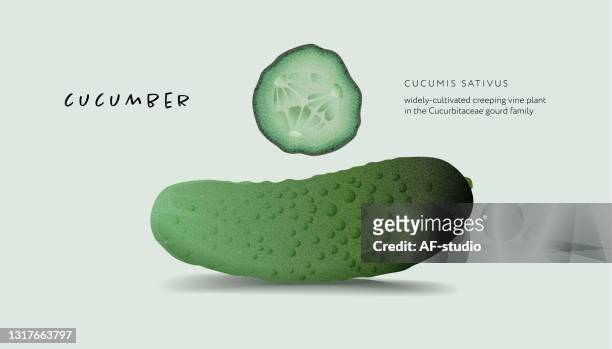 24 Sliced Cucumber Cartoon High Res Illustrations - Getty Images