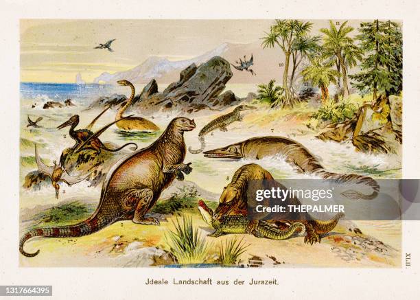illustrazioni stock, clip art, cartoni animati e icone di tendenza di paesaggio del periodo giurassico cromolitografia 1899 - dinosauri