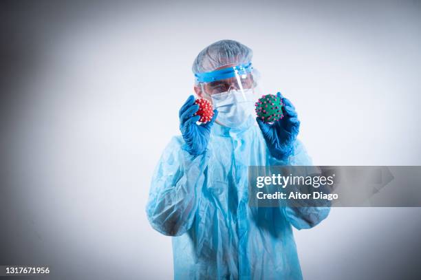 scientist in a protective suit los at two different coronavirus of different color in his hands - funny surgical masks stock pictures, royalty-free photos & images