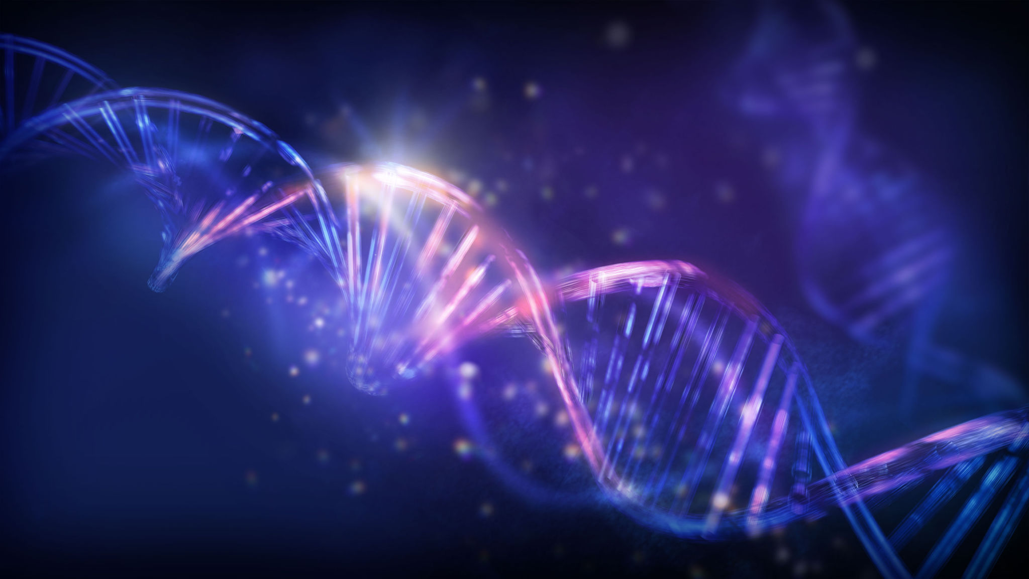 accurate dna results