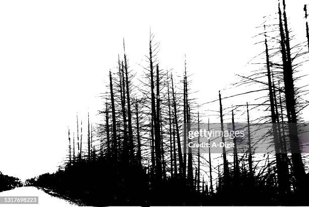 roadside treeline dead - burnt stock illustrations